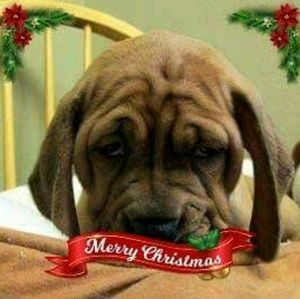 Meet your Posher, Terry